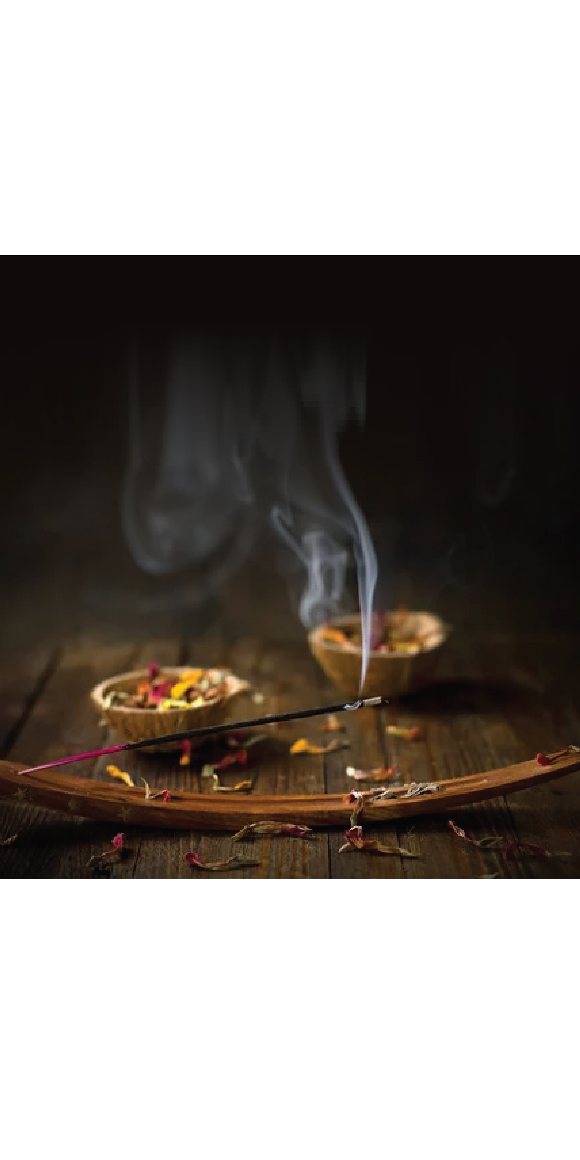 aishwarya-lakshmi---incense-sticks